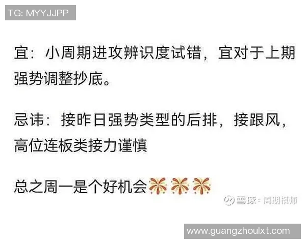 西安羽毛球队与深圳羽毛球队赛后复盘分析比赛节奏与战术对比