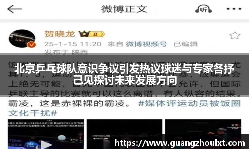 北京乒乓球队意识争议引发热议球迷与专家各抒己见探讨未来发展方向