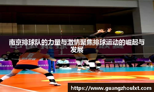 南京排球队的力量与激情聚焦排球运动的崛起与发展